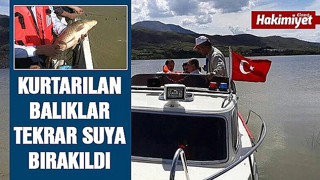 Ağlardan kurtarılan balıklar, suya bırakıldı
