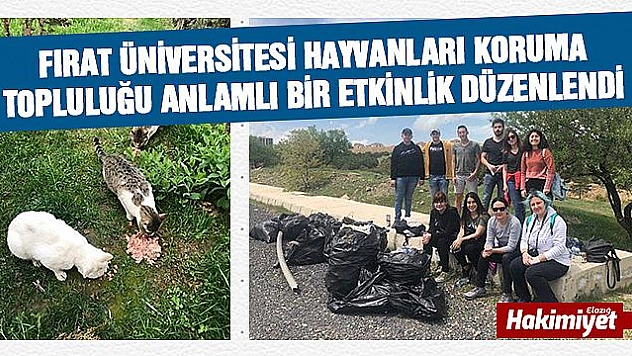 Çöp toplama ve mama dağıtımı gerçekleştirildi