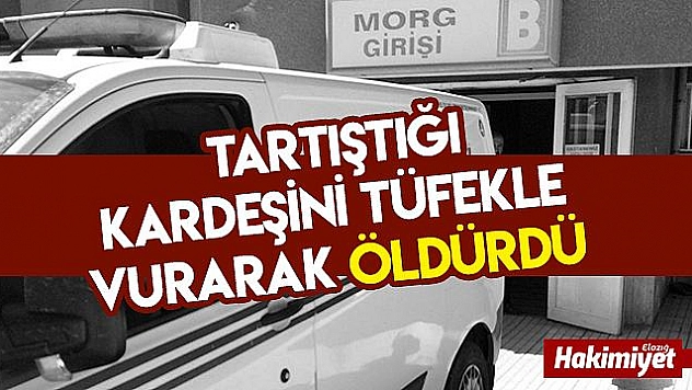 Elazığ'da cinayet, tartıştığı kardeşini öldürdü