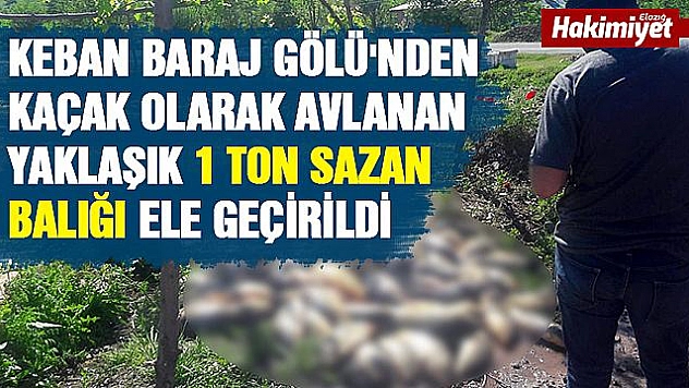 Kaçak avlanan 1 ton balık ele geçirildi
