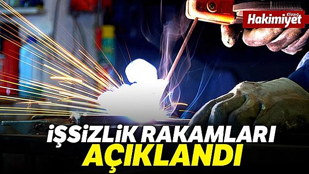 Şubat ayı işsizlik rakamları açıklandı