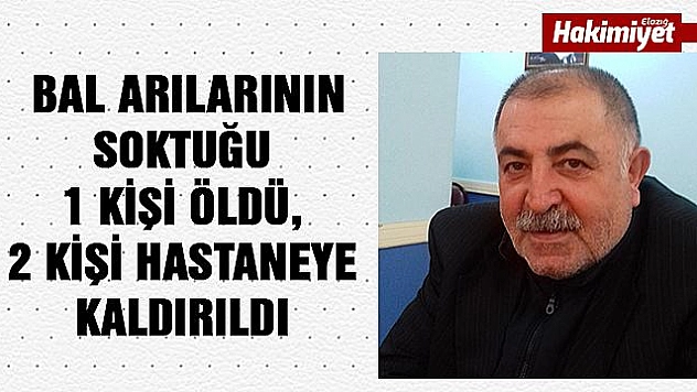 Arılar soktu: 1 ölü, 2 yaralı