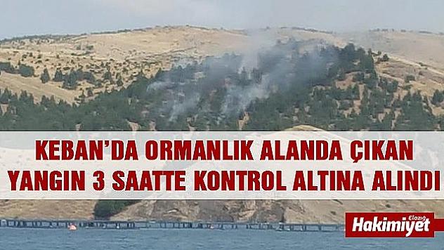Ormanlık alanda yangın çıktı