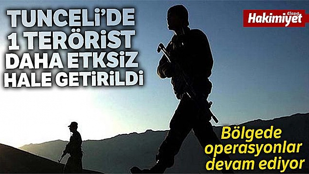 Tunceli'de 1 terörist daha etkisiz hale getirildi