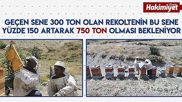 Bal üretimi bu sene yüzde 150 artacak