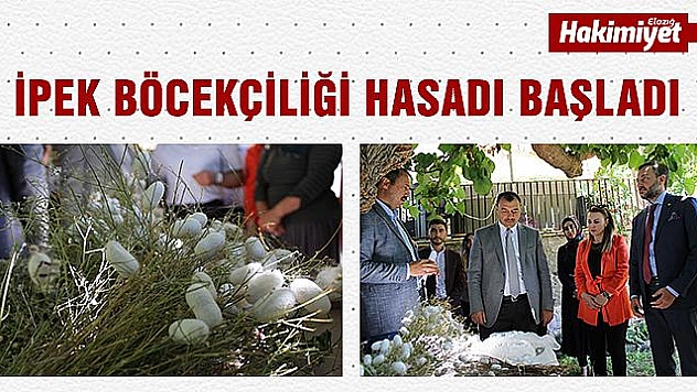 Kadınların eli değdi, ipek böcekçiliği başladı