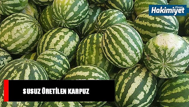 Köylerde üretilen karpuz tezgâhlarda yerini aldı