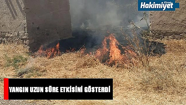  Bin Dönüm arazi  kül oldu 