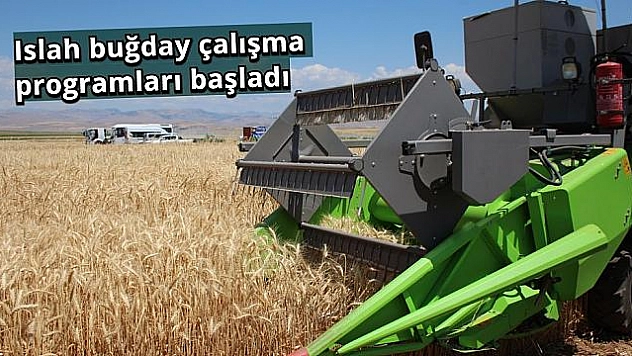 Tarla Gününde Ekilen Arpa ve Buğdayda Hasat Yapıldı