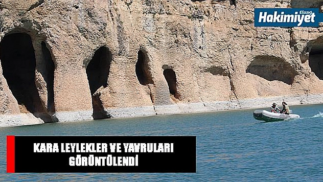 Yeni keşif 'Kara Leylek Kanyonu'