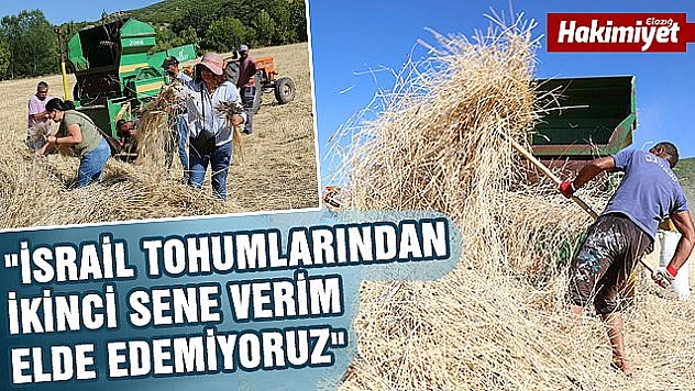 150 yıllık 'Ata' tohumları için harman etkinliği düzenlendi