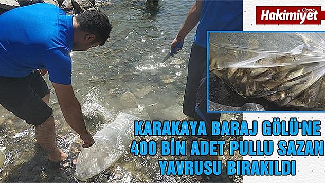 400 bin sazan yavrusu Karakaya Barajı'na bırakıldı