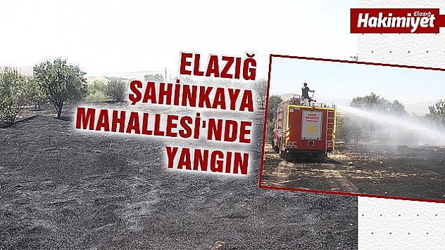 Bahçe yangınında 80 meyve ağacı zarar gördü