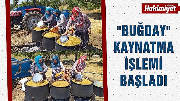 Kış için 'Buğday' kaynatma zamanı