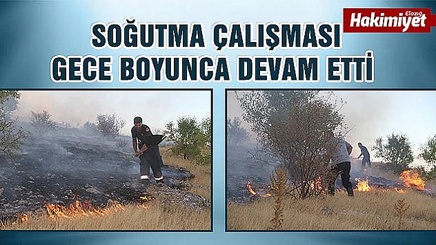 Orman Yangını 5 Saatte Kontrol Altına Alındı