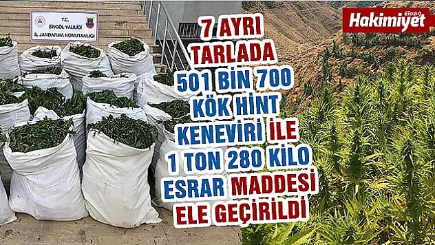 Yapılan Operasyonda 1 ton 280 kilo esrar ve Hint keneviri ele geçirildi  