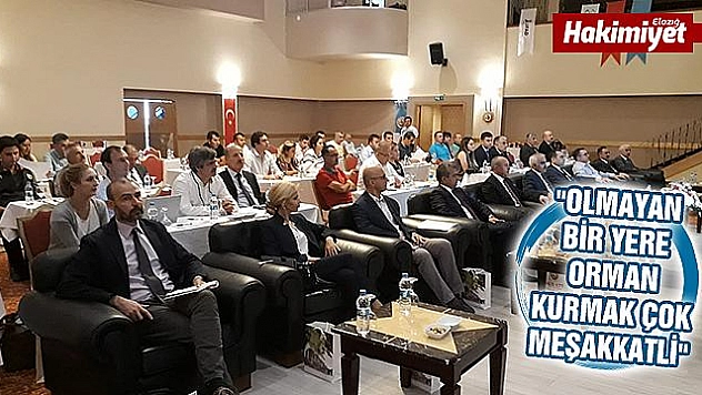Murat Nehri Havzası 50 milyon dolara rehabilite ediliyor