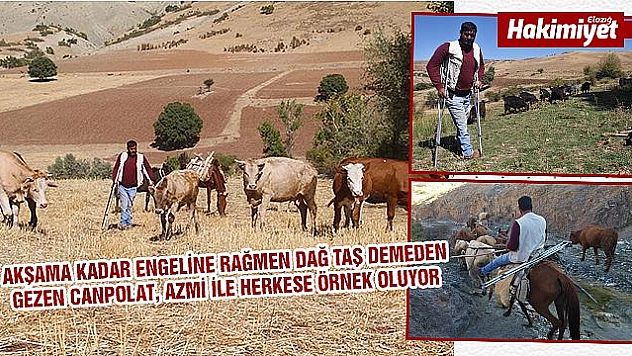 Örnek yaşam mücadelesi