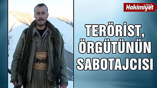 Terör örgütü PKK'ya bir darbe daha