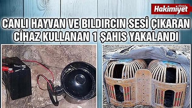 Elazığ'da usulsüz avlanan 1 şahıs yakalandı