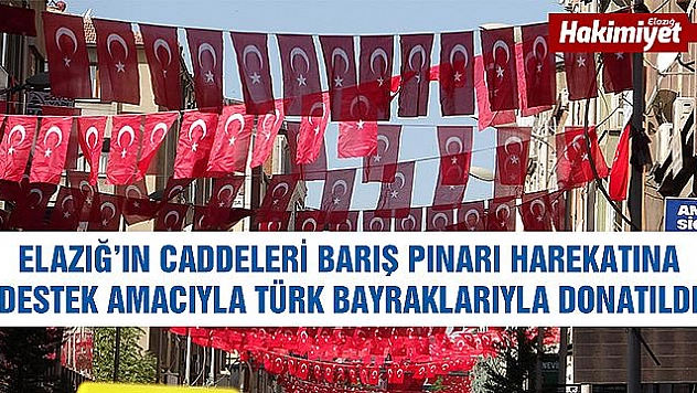 Elazığ Türk bayraklarıyla gelin gibi süslendi