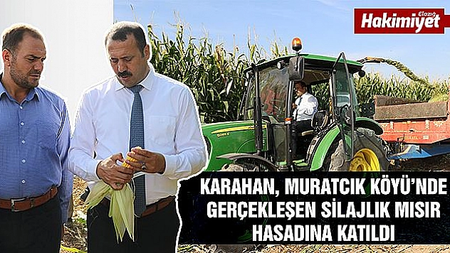 Silajlık mısır hasadına başlandı  