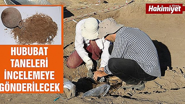 Tarihi kazılarda 'Çömlek' içinde 3 bin yıllık buğday taneleri çıktı
