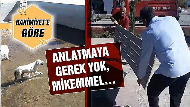 TEBRİKLER BASKİL'E