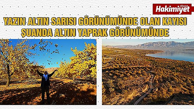 Elazığ'da 'altın yaprakların' görsel şöleni