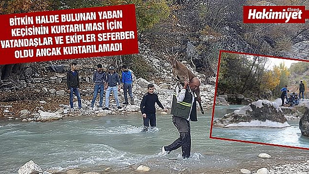 Gençler ve ekipler seferber oldu