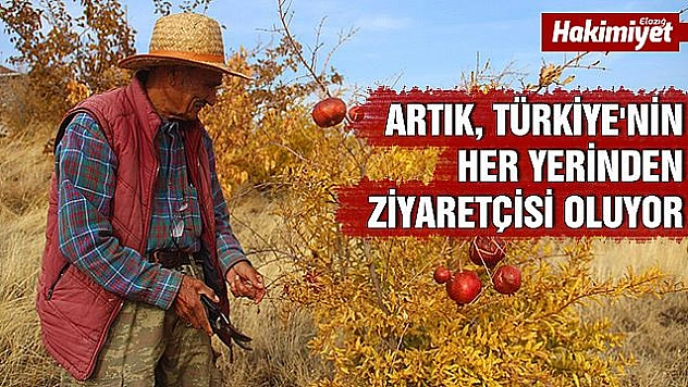 Yerli 'Robinson Crusoe' Ziya Dede, adasında kışa hazırlanıyor