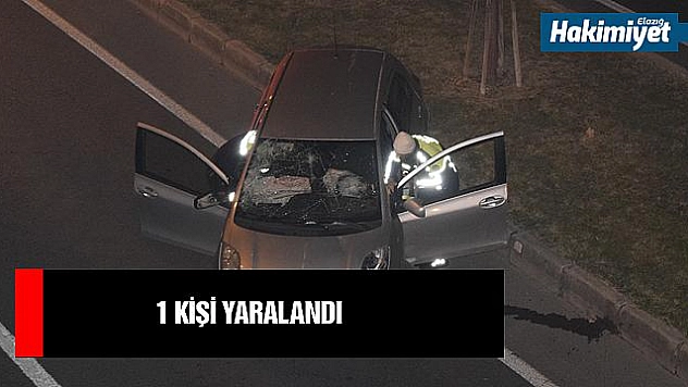 Ağaçları devirip karşı şeride geçti: 1 yaralı