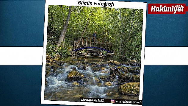 Günün Fotoğrafı