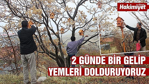 Kuşlar üşümesin diye 350 kuş evi asıldı