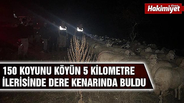 SİSTEN DOLAYI KAYBOLAN 150 KOYUNU JANDARMA BULDU