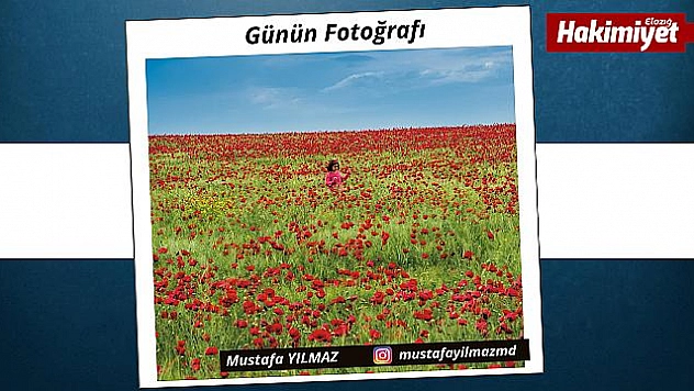 Günün fotoğrafı