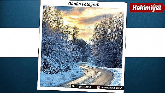 Günün fotoğrafı
