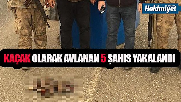 KAÇAK AVLANAN 5 ŞAHIS YAKALANDI