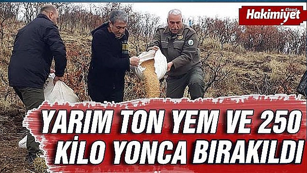 Yaban hayvanları için doğaya yem bırakıldı