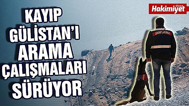 Kayıp Gülistan'ı arama çalışmaları sürüyor