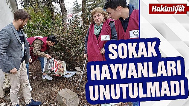 TÜRK KADINLAR KONSEYİ SOKAK HAYVANLARINI UNUTMADI