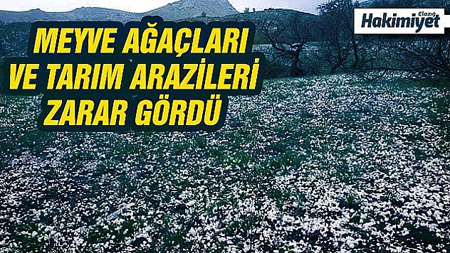 Elazığ'da misket büyüklüğünde dolu yağdı