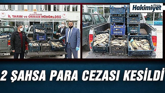 Kaçak avlanan 700 kilo balık ele geçirildi