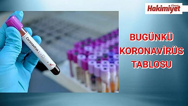 Koronavirüs'ten can kaybı rakamı düştü!