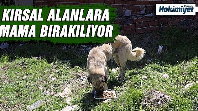Köylerdeki sokak hayvanları unutulmadı