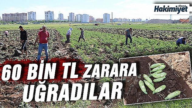 Çiftçileri dolu vurdu