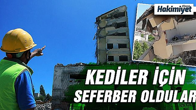 Elazığ'da yıkım kedi ve yavruları için 3 gün durduruldu