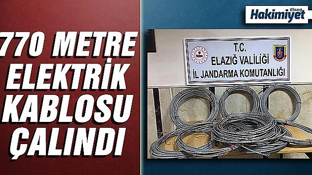 Köyün elektrik kablolarını çalan 2 şüpheli yakalandı
