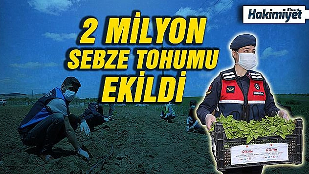 Vefalı eller, 2 milyon fideyi çiftçiye ulaştırmaya başladı