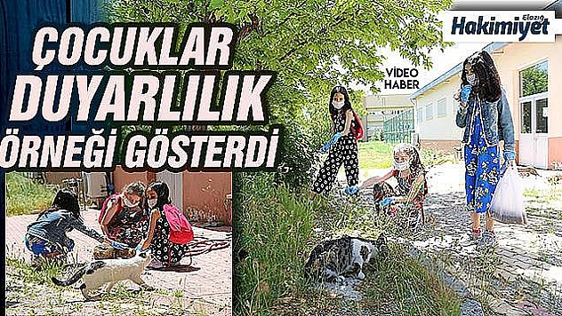 Yaşları henüz 10, sokağa çıktılar ilk işleri hayvanları beslemek oldu   